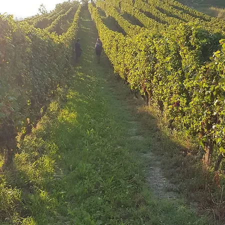 Appartement La Culla Tra I Vigneti