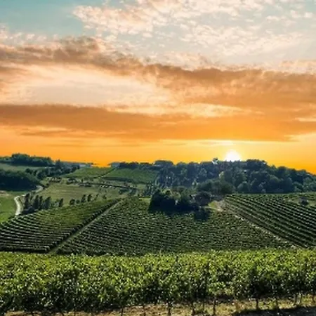 La Culla Tra I Vigneti アパート